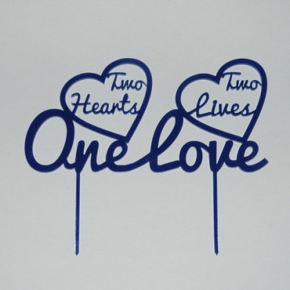Two Hearts, Two Lives, One Love 